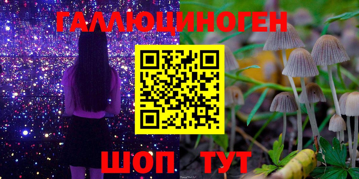 Псилоцибиновые грибы MAGIC MUSHROOMS  Вход с VPN  Петропавловск-Камчатский 